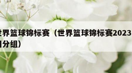 世界篮球锦标赛（世界篮球锦标赛2023中国分组）