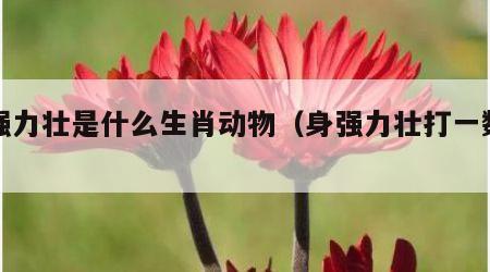 身强力壮是什么生肖动物（身强力壮打一数字）