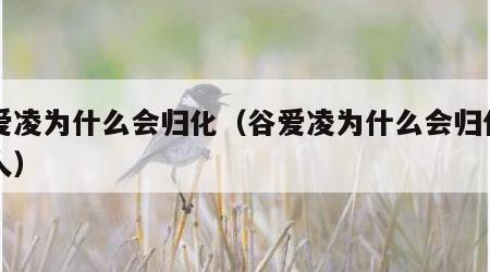 谷爱凌为什么会归化（谷爱凌为什么会归化中国人）