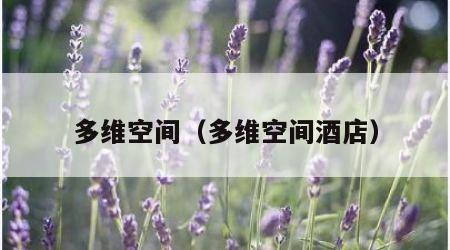 多维空间（多维空间酒店）