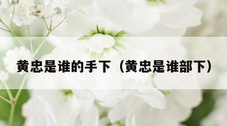 黄忠是谁的手下（黄忠是谁部下）