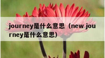 journey是什么意思（new journey是什么意思）