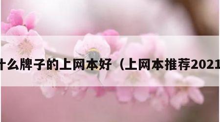 什么牌子的上网本好（上网本推荐2021）