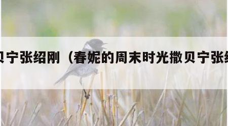 撒贝宁张绍刚（春妮的周末时光撒贝宁张绍刚）