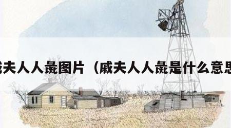 戚夫人人彘图片（戚夫人人彘是什么意思）