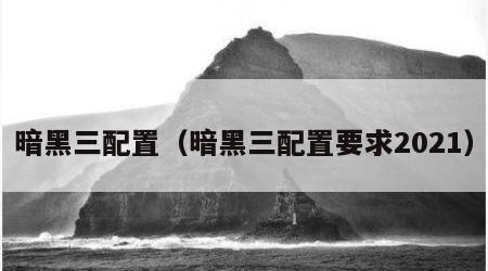 暗黑三配置（暗黑三配置要求2021）