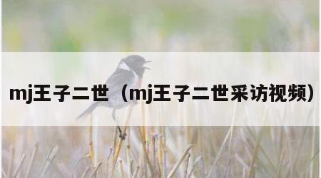 mj王子二世（mj王子二世采访视频）
