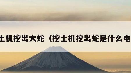 挖土机挖出大蛇（挖土机挖出蛇是什么电影）
