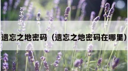 遗忘之地密码（遗忘之地密码在哪里）