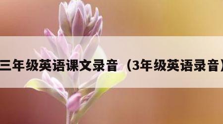 三年级英语课文录音（3年级英语录音）