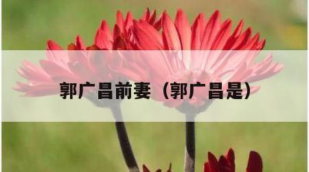 郭广昌前妻（郭广昌是）
