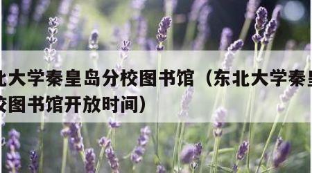 东北大学秦皇岛分校图书馆（东北大学秦皇岛分校图书馆开放时间）