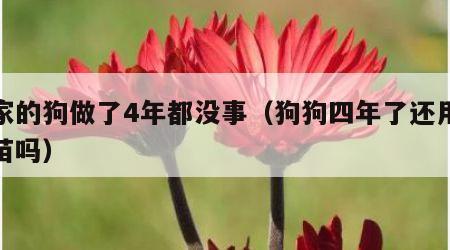 我家的狗做了4年都没事（狗狗四年了还用打疫苗吗）