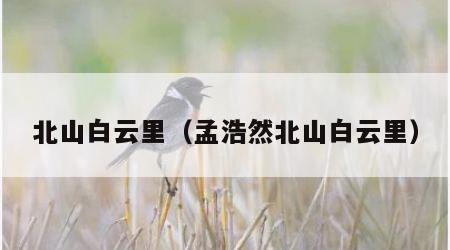 北山白云里（孟浩然北山白云里）