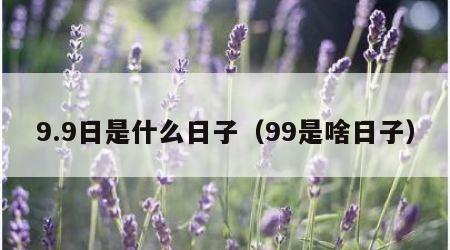 9.9日是什么日子（99是啥日子）