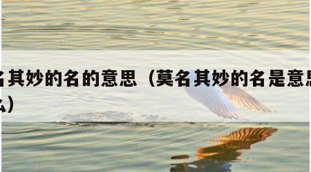 莫名其妙的名的意思（莫名其妙的名是意思是什么）