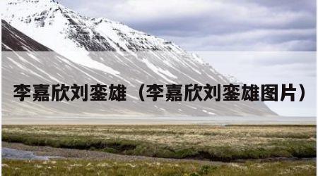 李嘉欣刘銮雄（李嘉欣刘銮雄图片）