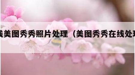 在线美图秀秀照片处理（美图秀秀在线处理图片）