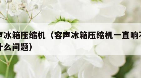 容声冰箱压缩机（容声冰箱压缩机一直响不停是什么问题）