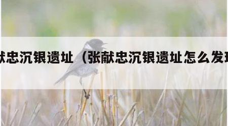 张献忠沉银遗址（张献忠沉银遗址怎么发现的）