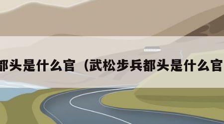 都头是什么官（武松步兵都头是什么官）