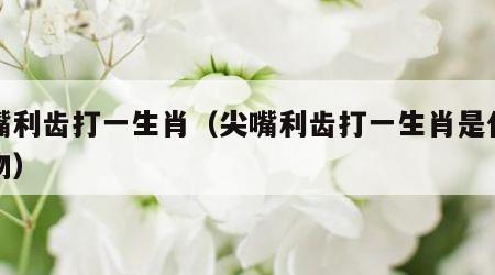 尖嘴利齿打一生肖（尖嘴利齿打一生肖是什么动物）