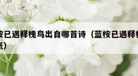 蓝桉已遇释槐鸟出自哪首诗（蓝桉已遇释槐鸟壁纸）