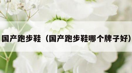 国产跑步鞋（国产跑步鞋哪个牌子好）