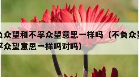 不负众望和不孚众望意思一样吗（不负众望和不孚众望意思一样吗对吗）