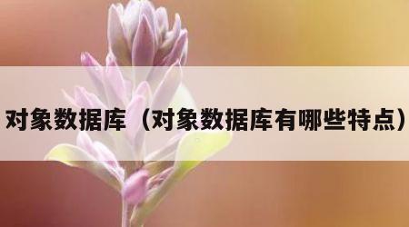 对象数据库（对象数据库有哪些特点）