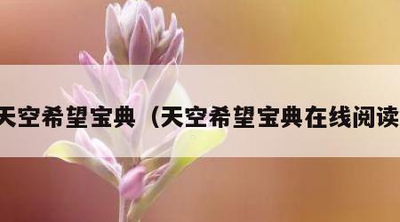 天空希望宝典（天空希望宝典在线阅读）