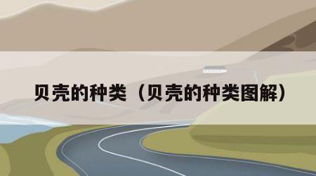 贝壳的种类（贝壳的种类图解）