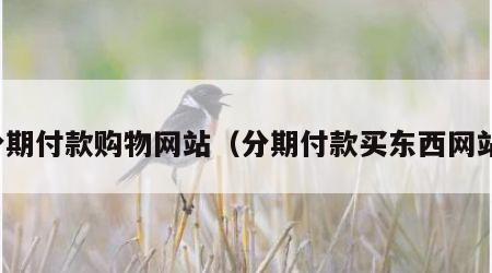 分期付款购物网站（分期付款买东西网站）