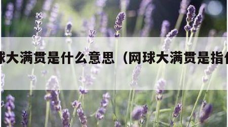 网球大满贯是什么意思（网球大满贯是指什么）