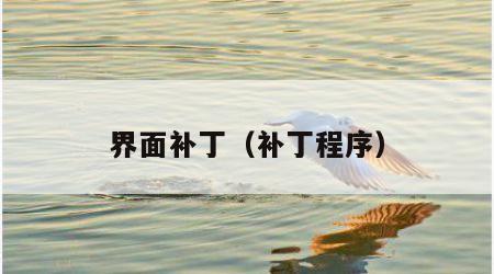 界面补丁（补丁程序）