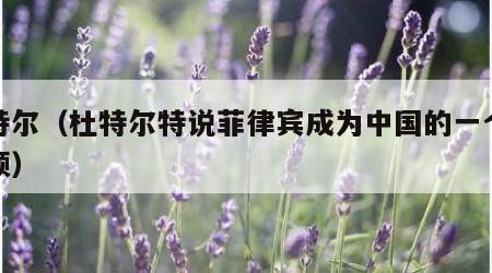 杜特尔（杜特尔特说菲律宾成为中国的一个省视频）