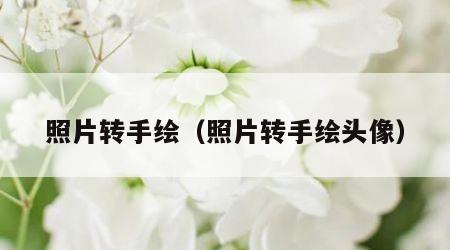 照片转手绘（照片转手绘头像）