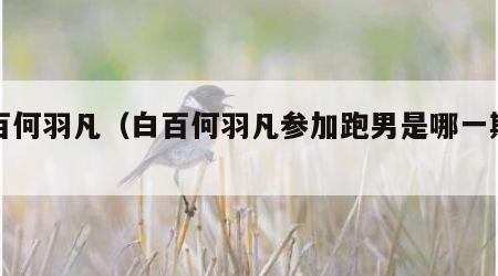 白百何羽凡（白百何羽凡参加跑男是哪一期的）
