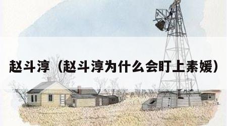 赵斗淳（赵斗淳为什么会盯上素媛）