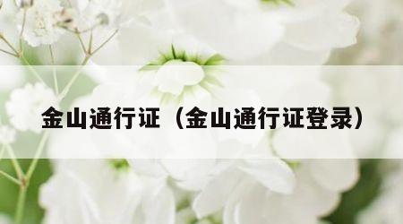 金山通行证（金山通行证登录）
