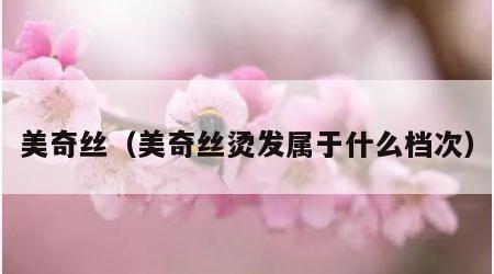 美奇丝（美奇丝烫发属于什么档次）