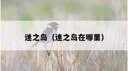迷之岛（迷之岛在哪里）