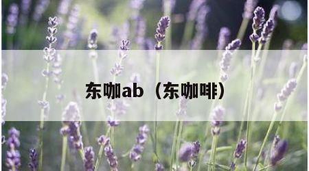 东咖ab（东咖啡）