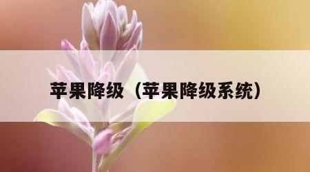 苹果降级（苹果降级系统）
