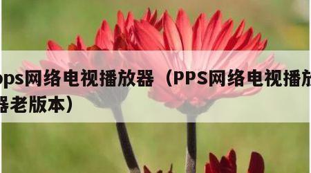 pps网络电视播放器（PPS网络电视播放器老版本）