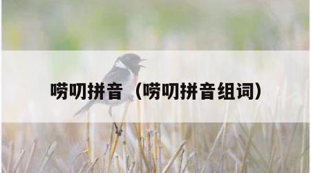 唠叨拼音（唠叨拼音组词）