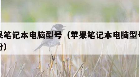 苹果笔记本电脑型号（苹果笔记本电脑型号及年份）