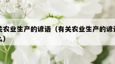 有关农业生产的谚语（有关农业生产的谚语有什么）