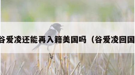谷爱凌还能再入籍美国吗（谷爱凌回国）