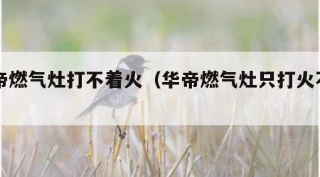 华帝燃气灶打不着火（华帝燃气灶只打火不出气）